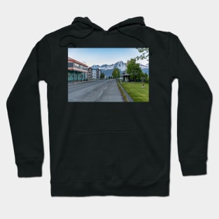 Scenic Seward Hoodie